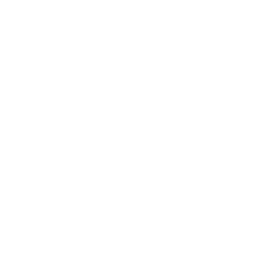 ARISDA Logo